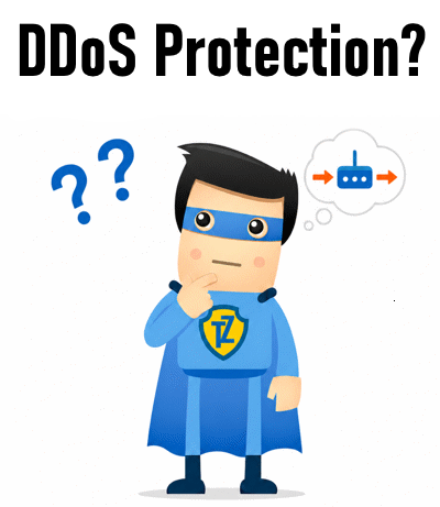 DDoS Protection with Trust.Zone VPN
