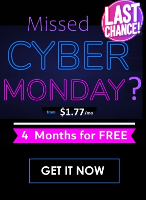 Missed Cyber Monday? Get 4 Months for FREE. The Last Chance!